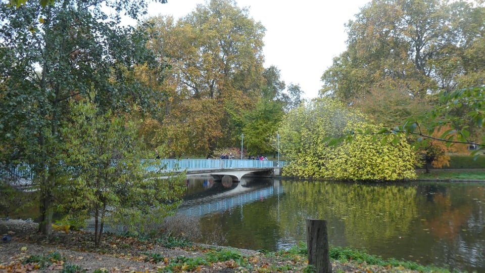 St James's Park 的 Blue Bridge 横跨湖面，秋色树木和水岸从桥后展开。